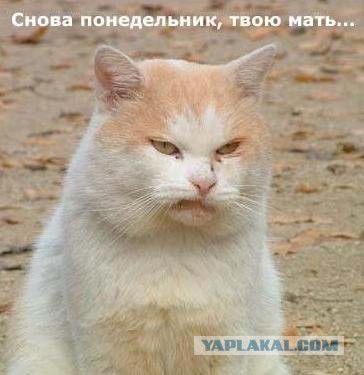 Небольшая подборочка