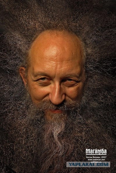 Эволюция "Gilette"