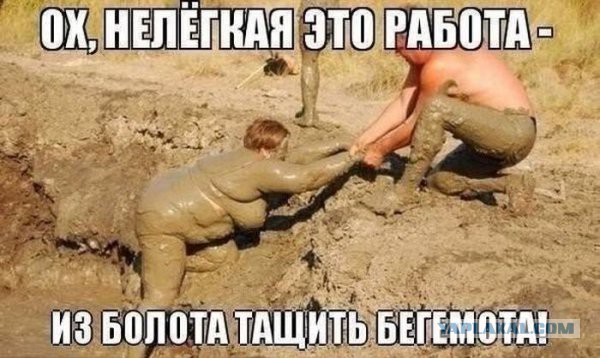 Давно демотиваторов не было