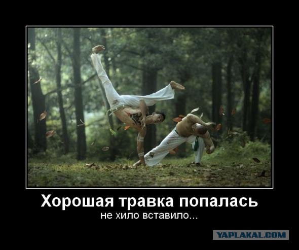 Алко-Нарко-Психо-Фармо и т.п. поборка
