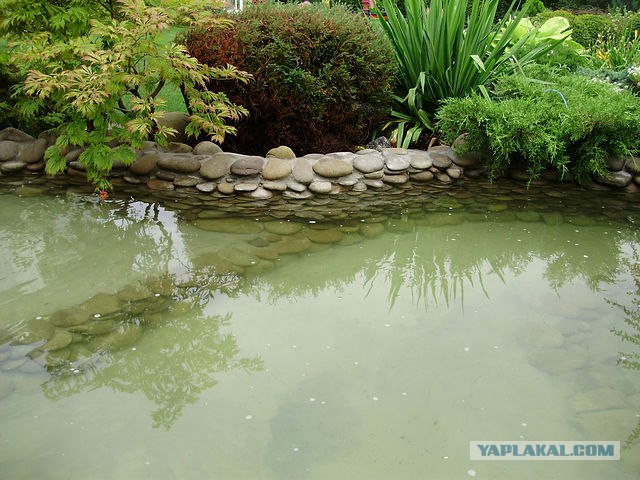 Бассейн во дворе: сделай сам