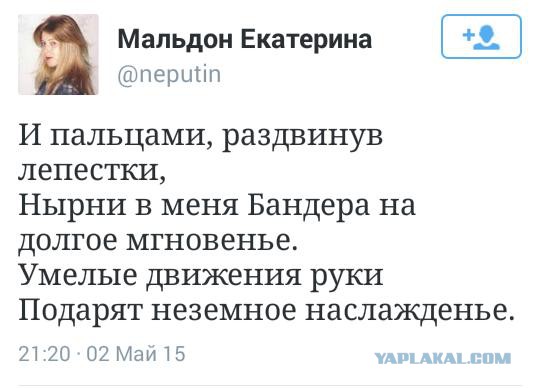 Перемирие кончилось, едва начавшись. Часть 8