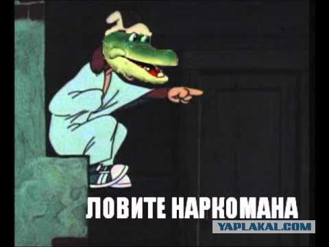 Пьяная жена майора полиции, Хабаровск