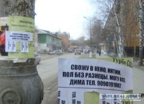 Прикольные картинки