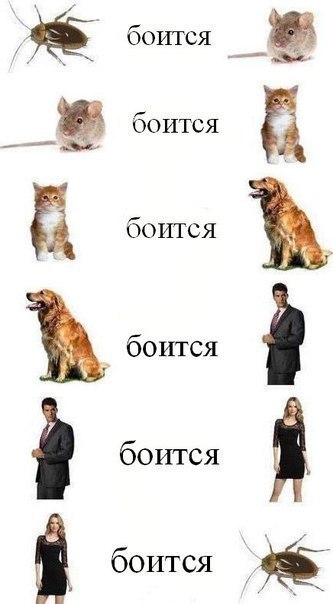 Картинки набрались разные