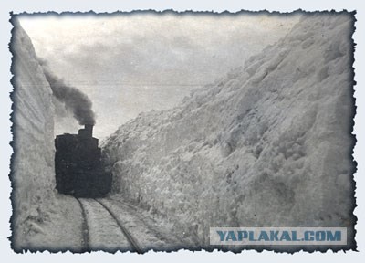 40 фактов о климате России, которые вы не знали