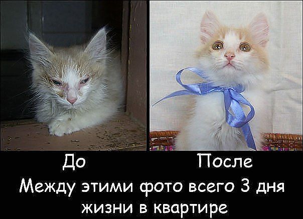 Подборка прикольных фото на пятницу