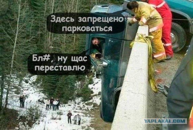 Забавные картинки из Сети