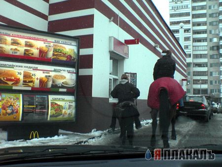 Все о КОНЯХ, ЛОШАДЯХ, ОСЛАХ
