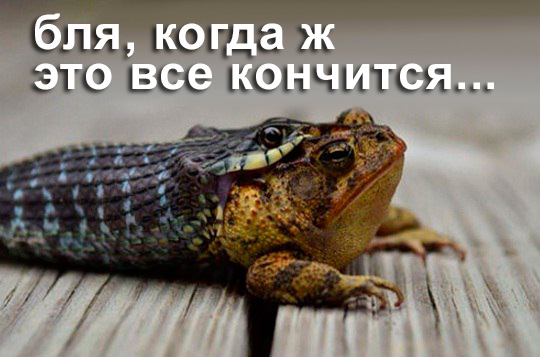 В таких ситуациях лучше и не скажешь!