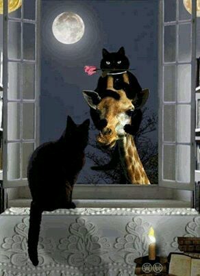 Подборка интересных и веселых картинок