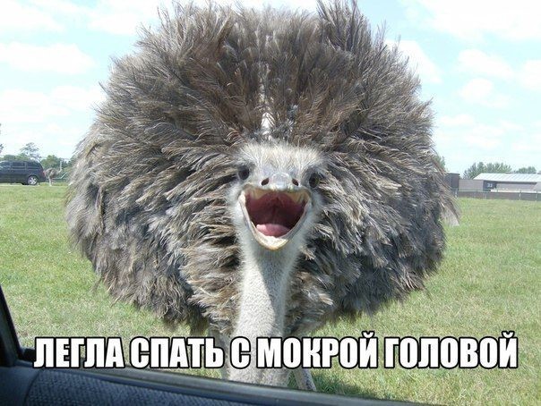 Картинки с надписями