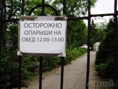 Осторожно, злая собака