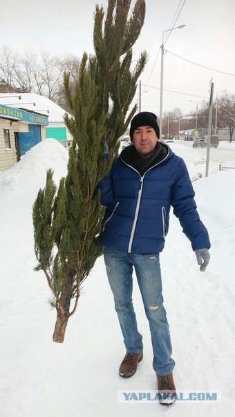 Смелые ЯПовцы.