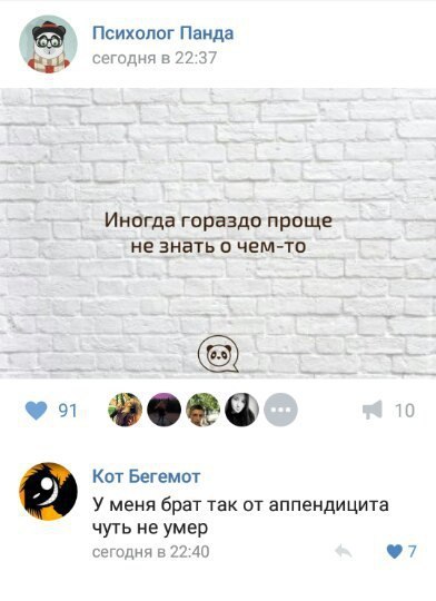 Ужасы и приколы из соцсетей 18+