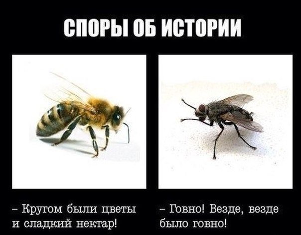 Порция пикчей из палаты №6