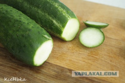 Случайные попки