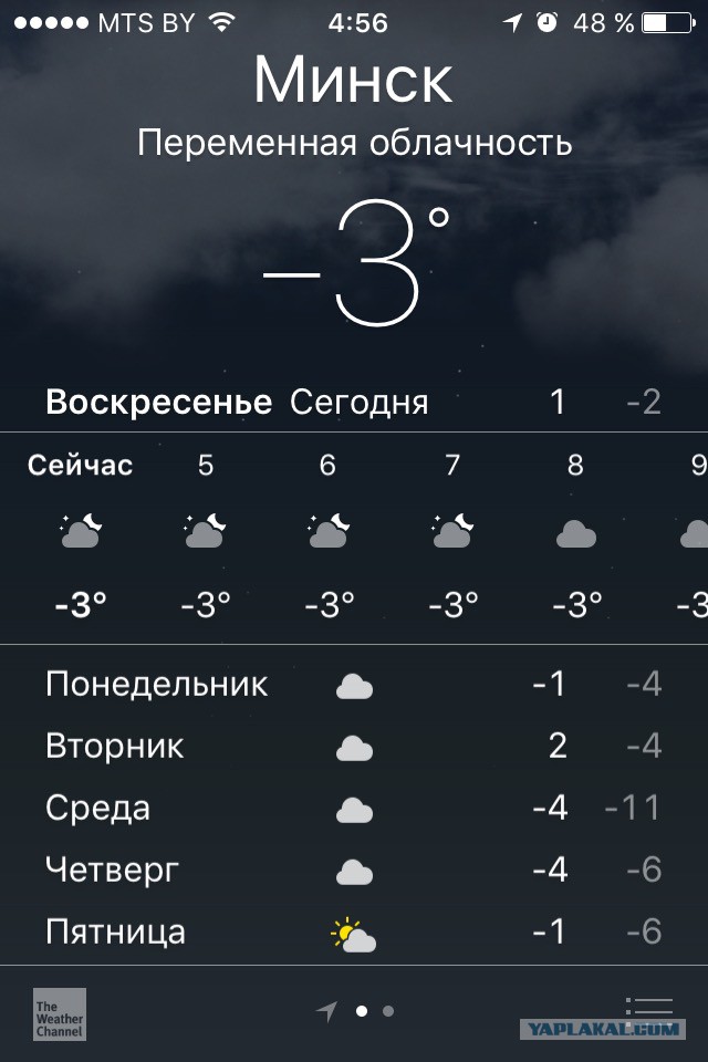 Вот и до нас добралось проклятое потепление