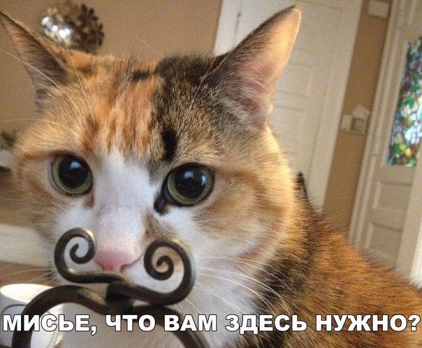 Всякие картинки