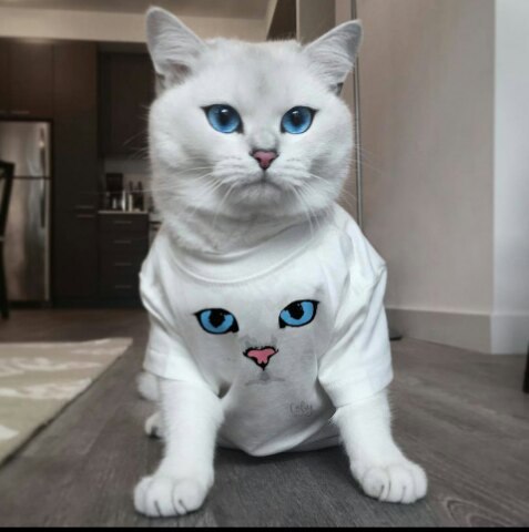 Интересно, Забавно, Сексуально.