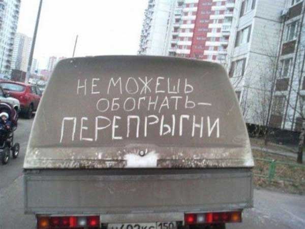 Подборка безудержного веселья