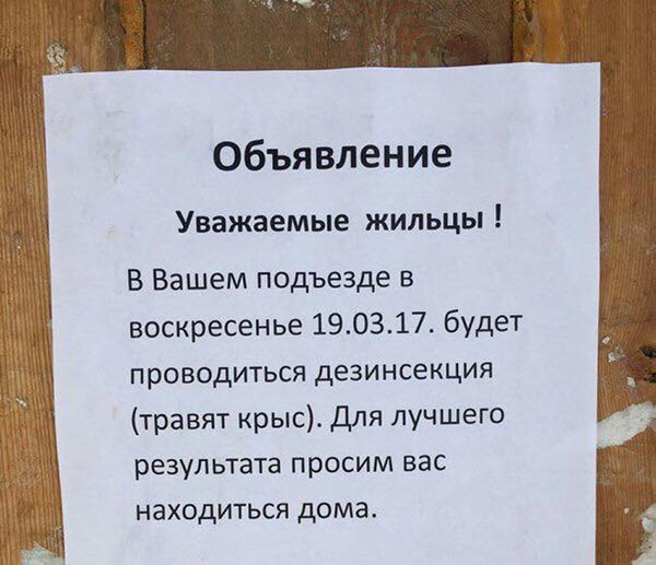 Деграклассники