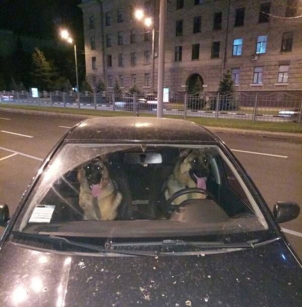 Немного картинок