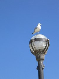 Жуткий случай в Англии, берегите себя и свои ...