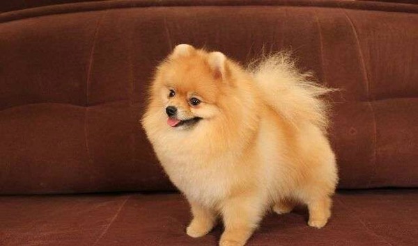 Солнышко