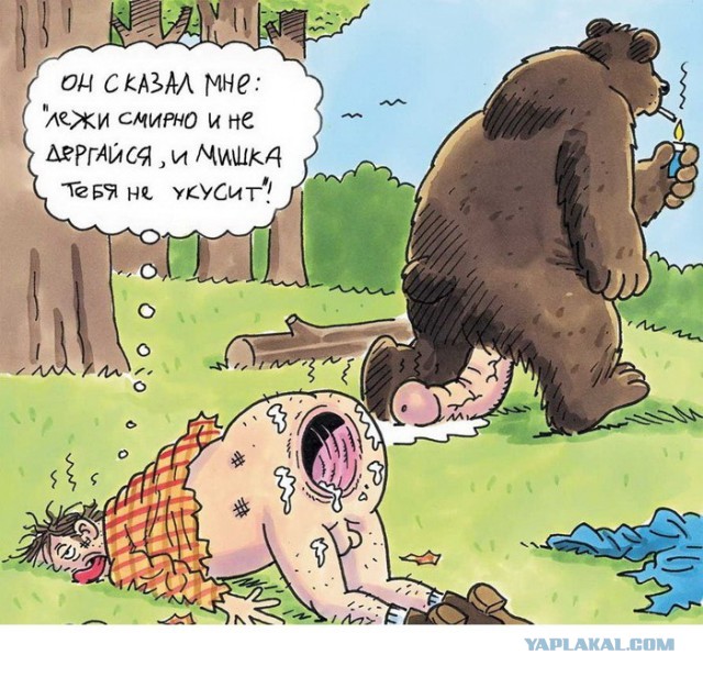 Можно ли убежать от медведя?