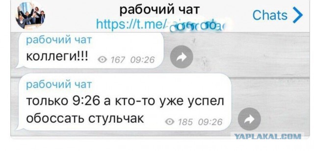 Приколы на любые темы