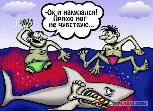 Дикая история
