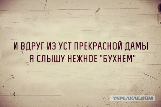 Сорок градусов