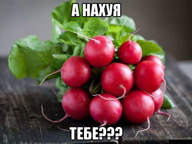 Темнота наступает