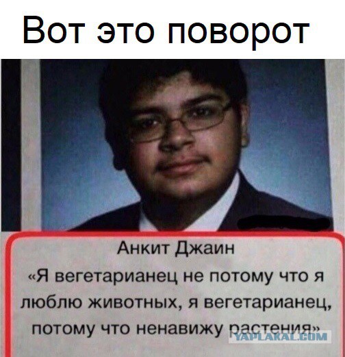 Веганы закрыли оленя своими телами от охотника и его собак