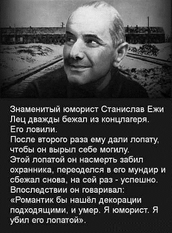 Куда катится жизнь