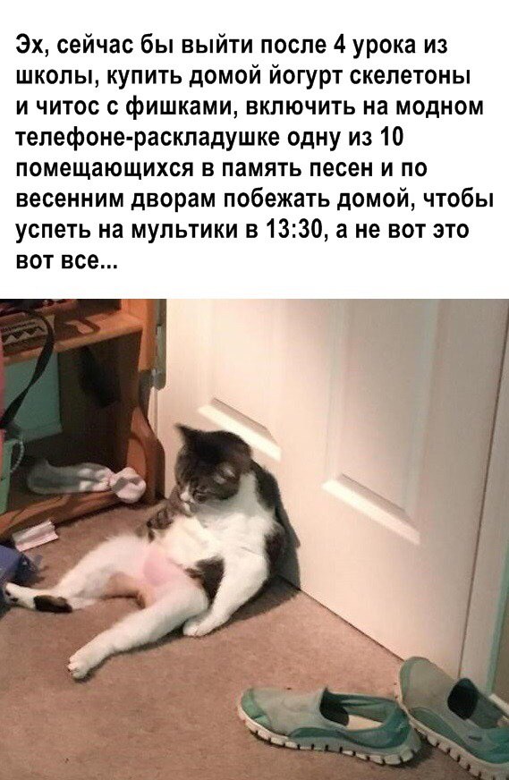 Немного картинок для настроения