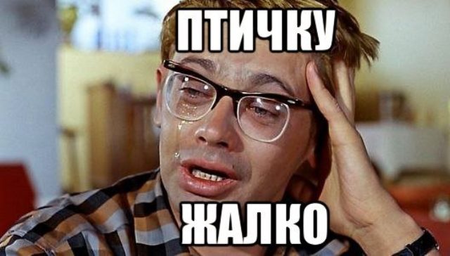 В двигатель Боинга на взлете попадает птица