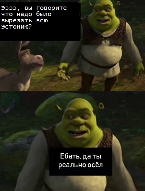 МИД Эстонии: Мы не просили русских нас освобождать