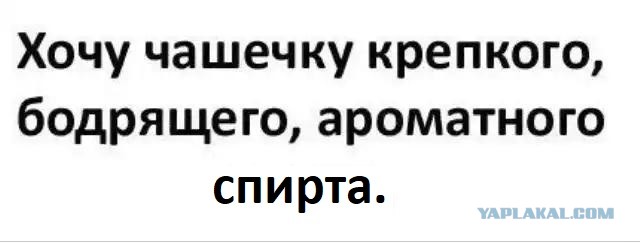 Сегодня пятница, а это значит...
