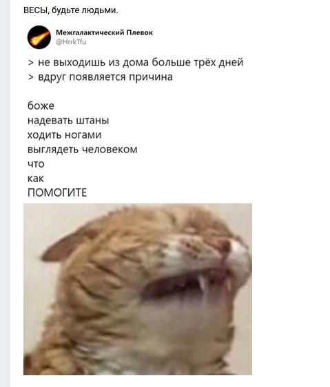 Чтожэто делается, товарищи дорогие! Бабы совсем мужикам жизни не дают!