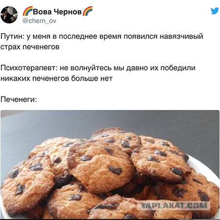 Печенеги, Путин, Плевако и плагиат.
