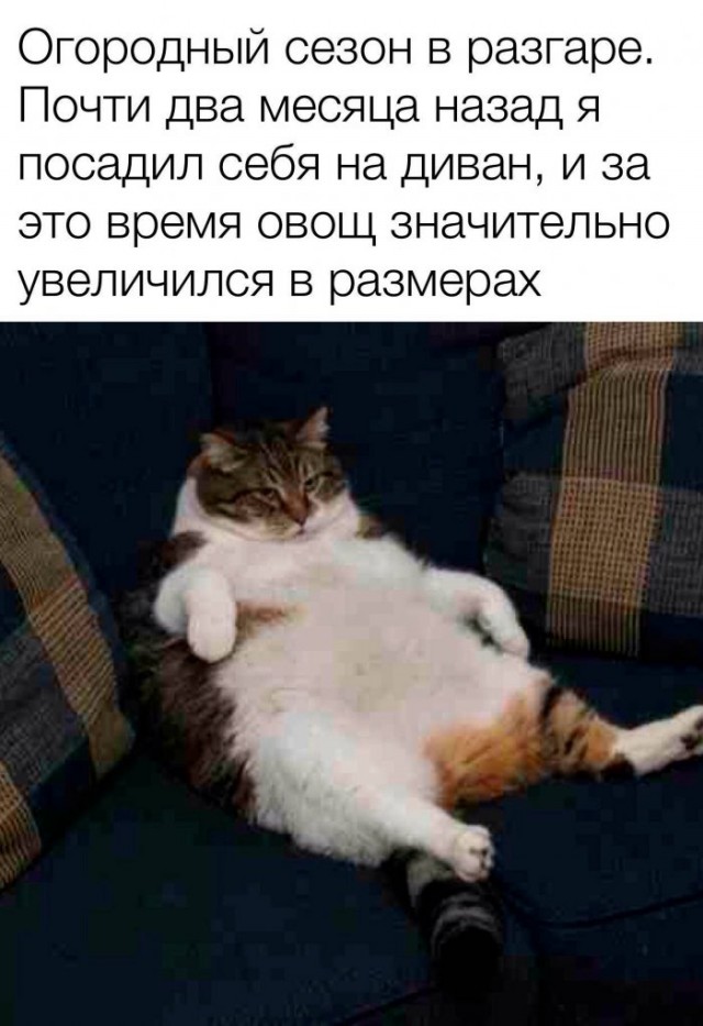 Картинки всякие разные от 14.05.2020