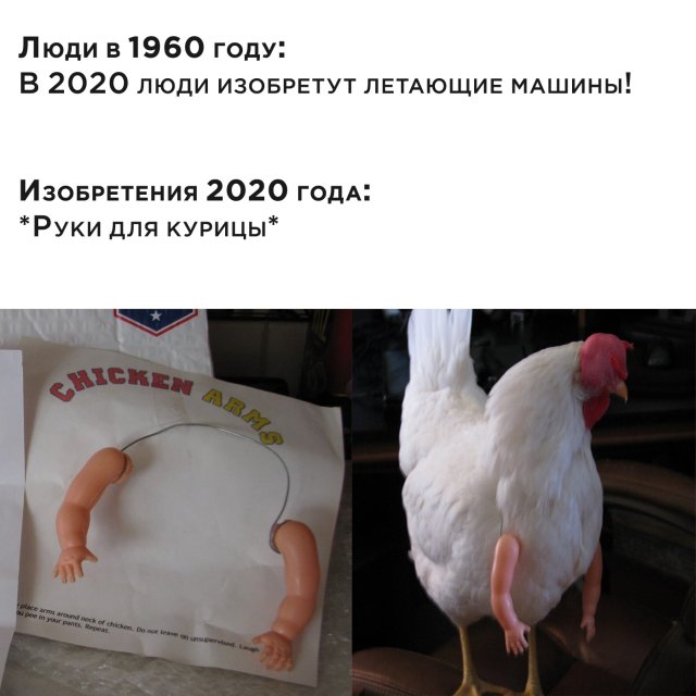 Мужчины сами виноваты в низком качестве современных женщин!