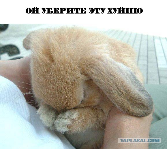 17/11/2008 по просьбам трудящихся