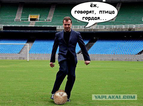 Фотожаба: Медведев футболист