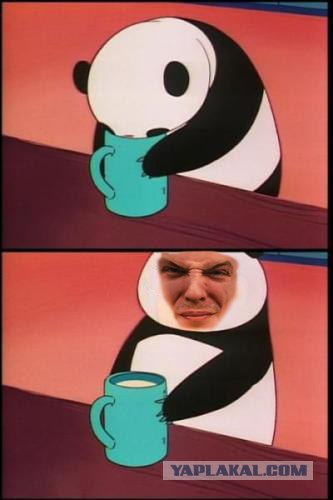 Фотожаба: Панда и молоко