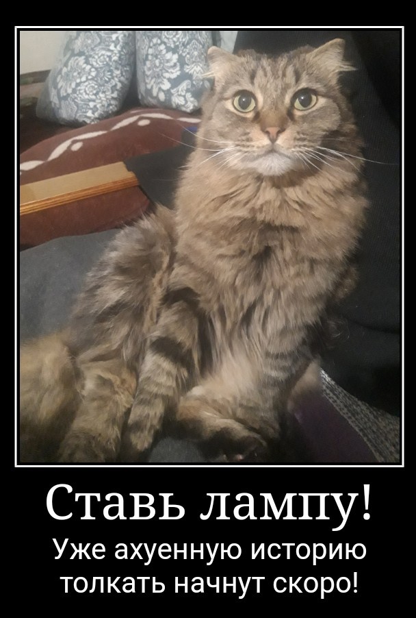 Вторник-кото