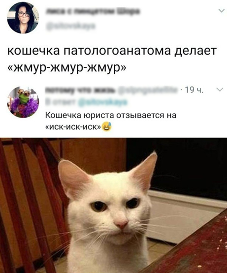 Аморальная деградация 05.06.21