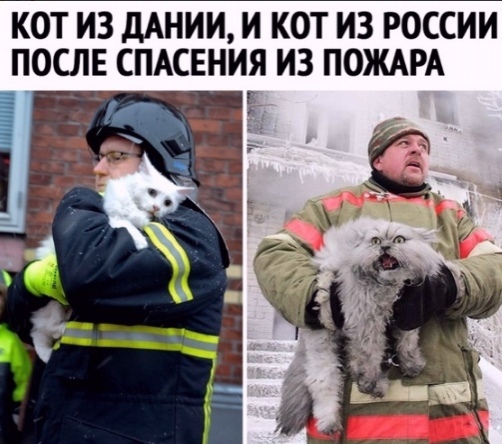 Так себе картинки 28.08.21